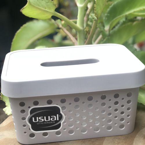 CESTO USUAL 2L C/TAMPA / CINZA