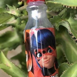 GARRAFA RETRÔ MIRACULOUS 500ML PLASÚTIL