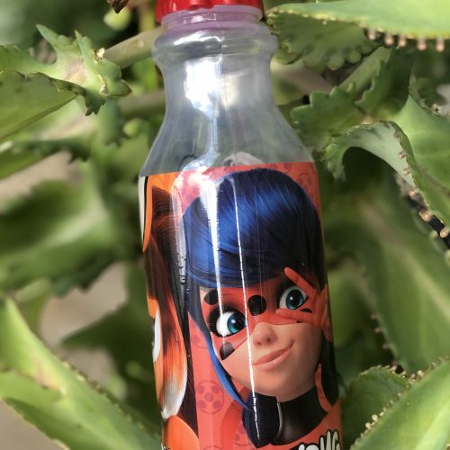 GARRAFA RETRÔ MIRACULOUS 500ML PLASÚTIL