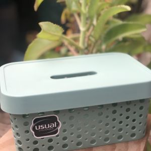 CESTO USUAL 4,5L C/TAMPA / VERDE