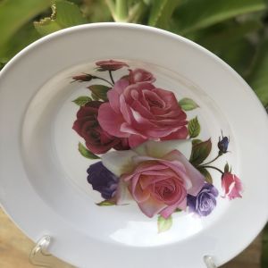 PRATO DE PLÁSTICO DECORADO