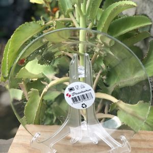 PRATO FUNDO 22CM PASABAHÇE