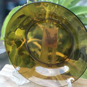 PRATO ELITE DE VIDRO SODO-CÁLCICO